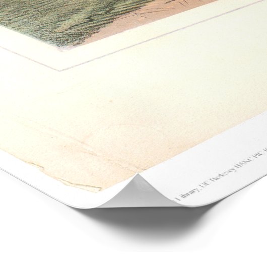 Indian Buffalo Hunt: "Nah Quarters" (0743A) Poster (Ecke)