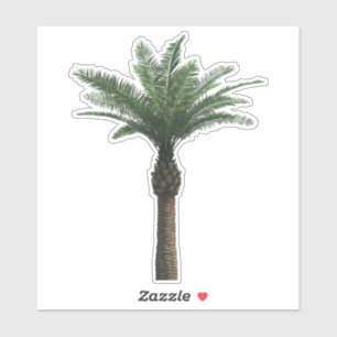 Indian Date Palm Tree Sticker