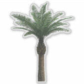 Indian Date Palm Tree Sticker (Vorderseite)