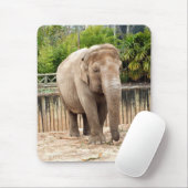 Indian Elephant Mousepad (Mit Mouse)