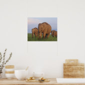 Indian Elephants in the Grassland Poster (Küche)