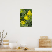 Indian Golden Paintbrush Castilleja Poster (Küche)
