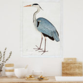 Indian Gray Heron (1780-1782) von Ram Das Poster (Küche)