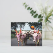 Indian Man Postcard Postkarte (Stehend Vorderseite)