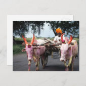 Indian Man Postcard Postkarte (Vorne/Hinten)