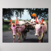 Indian Man Print, Value Poster Paper (Matte) (Vorne)
