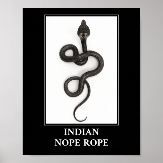Indian Nope Rope - Cobra Snake Danger Poster (Vorne)