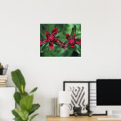 Indian Paintbrush, Banff NP, Alberta, Kanada 2 Poster (Heimbüro)