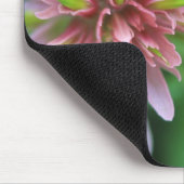 Indian Paintbrush, Banff NP, Alberta, Kanada Mousepad (Ecke)