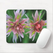 Indian Paintbrush, Banff NP, Alberta, Kanada Mousepad (Mit Mouse)