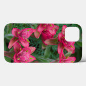 Indian Paintbrush Case-Mate iPhone Hülle (Rückseite (Horizontal))
