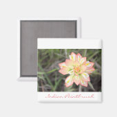Indian Paintbrush Magnet (Vorderseite/Rückseite)