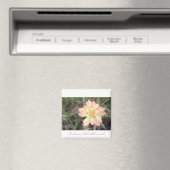 Indian Paintbrush Magnet (In Situ (Geschirrspüler))