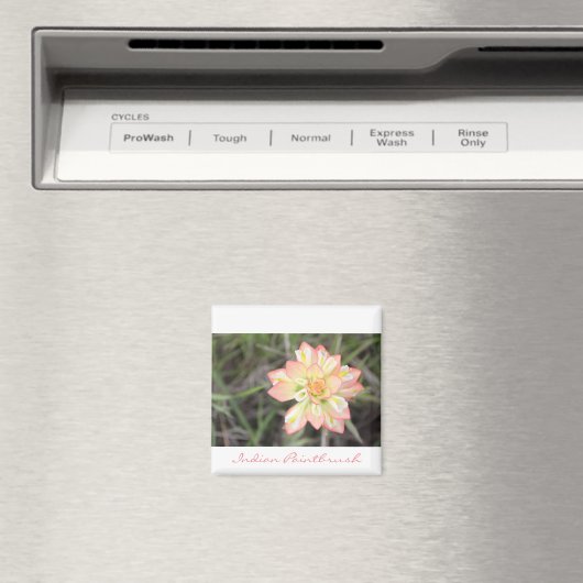 Indian Paintbrush Magnet (In Situ (Geschirrspüler))