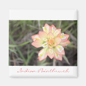 Indian Paintbrush Magnet (Vorne)
