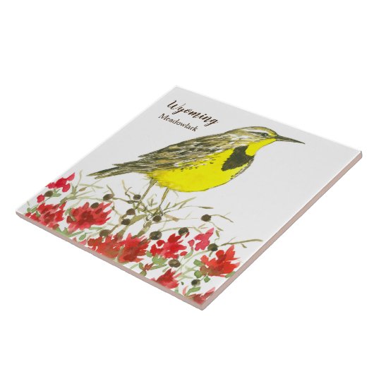 Indian Paintbrush Meadowlark Wyoming Souvenir Fliese (Seite)
