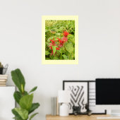 Indian Paintbrush Poster (Heimbüro)