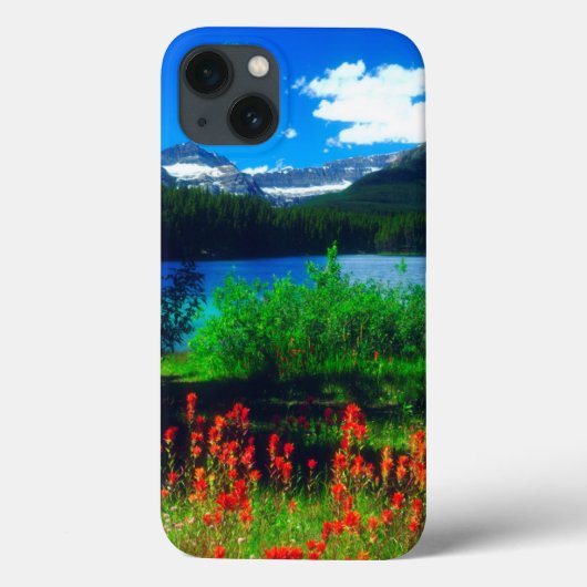 Indian Paintbrush Wildflowers Case-Mate iPhone Hülle (Rückseite)