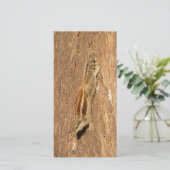 Indian Palm Eichhörnchen auf einem Baumstamm (Stehend Vorderseite)