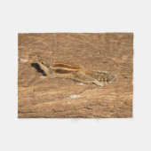 Indian Palm Eichhörnchen auf einem Baumstamm Fleecedecke (Vorderseite (Horizontal))