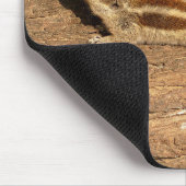 Indian Palm Eichhörnchen auf einem Baumstamm Mousepad (Ecke)