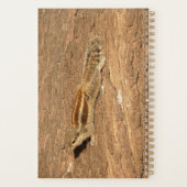 Indian Palm Eichhörnchen auf einem Baumstamm Planer (Rückseite)