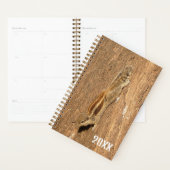 Indian Palm Eichhörnchen auf einem Baumstamm Planer (Anzeige)