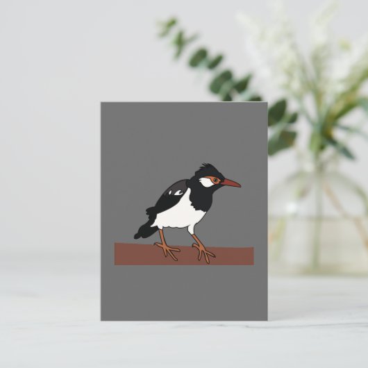 Indian Pied Myna Bird Art Postkarte (Stehend Vorderseite)