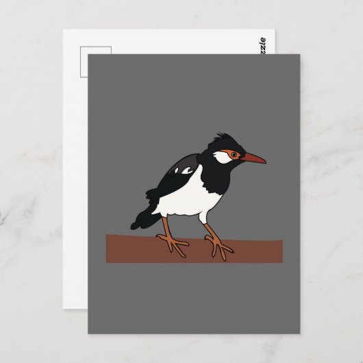 Indian Pied Myna Bird Art Postkarte (Vorne/Hinten)