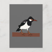 Indian Pied Myna Bird Art Postkarte (Vorderseite)