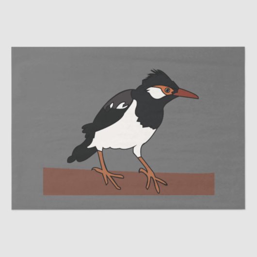 Indian Pied Myna Bird Art Seidenpapier (Vorderseite)