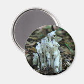 Indian Pipe Wildflowers Nature  Magnet (Vorderseite/Rückseite)