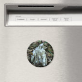 Indian Pipe Wildflowers Nature  Magnet (In Situ (Geschirrspüler))