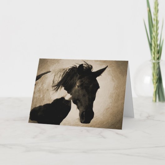 Indian Pony Greeting Card Karte (Vorderseite)