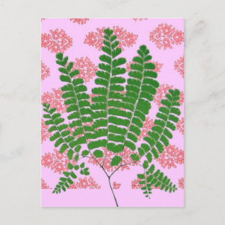 Indian Print Fern Pinks Postkarte