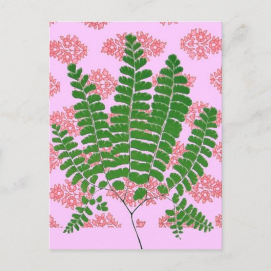 Indian Print Fern Pinks Postkarte (Vorderseite)