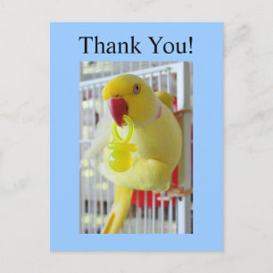 Indian Ringneck Danke, Baby Dusche Postkarte