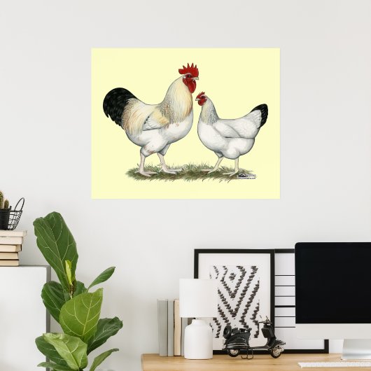Indian River Chickens Poster (Heimbüro)