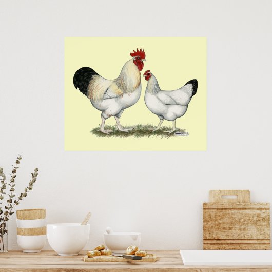 Indian River Chickens Poster (Küche)