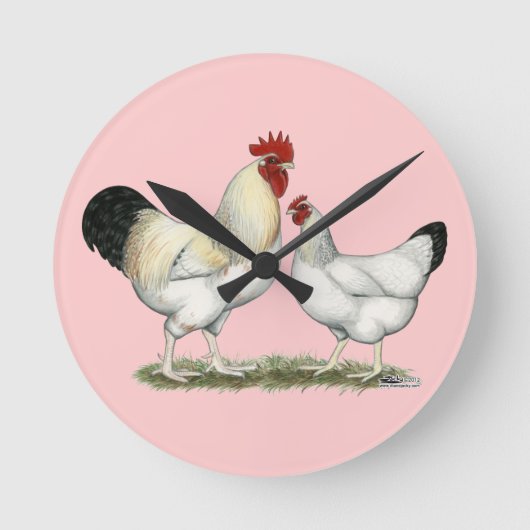 Indian River Chickens Runde Wanduhr (Vorderseite)
