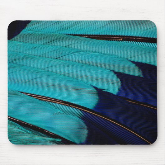 Indian Roller Feather Abstrakt Mousepad (Vorne)
