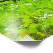 Indian Run Falls, Dublin, Ohio Fotodruck (Ecke)