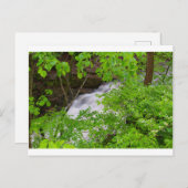 Indian Run Falls, Dublin, Ohio Postkarte (Vorne/Hinten)
