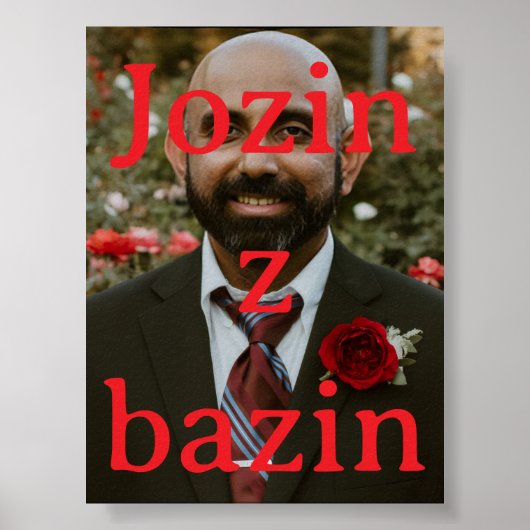 Indian Scammmer Poster (Vorne)