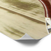 Indian Sitar String Instrument Poster (Ecke)