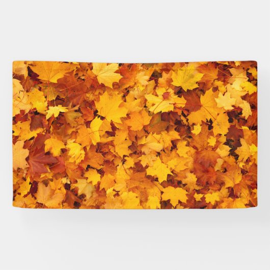 Indian Summer Golden Blätter Banner (Horizontal)