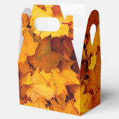 Indian Summer Golden Blätter Geschenkschachtel (Geöffnet)