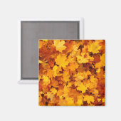 Indian Summer Golden Blätter Magnet (Vorderseite/Rückseite)