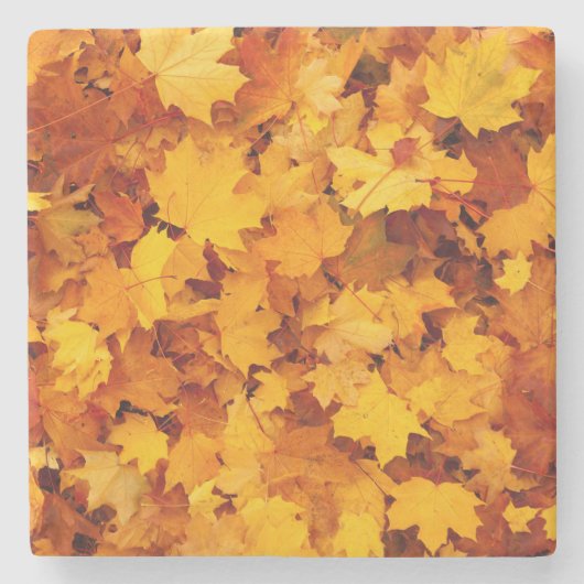 Indian Summer Golden Blätter Steinuntersetzer (Vorderseite)