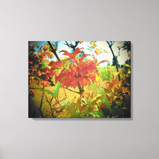 Indian Summer September Colors by djoneill Leinwanddruck (Vorderseite)
